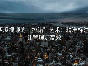 西瓜视频的“排错”艺术：精准标注，让管理更高效