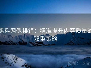 黑料网像排错：精准提升内容质量的双重策略