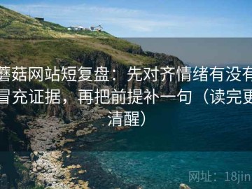 蘑菇网站短复盘：先对齐情绪有没有冒充证据，再把前提补一句（读完更清醒）