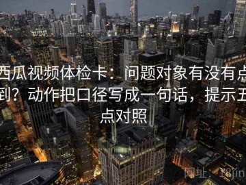 西瓜视频体检卡：问题对象有没有点到？动作把口径写成一句话，提示五点对照