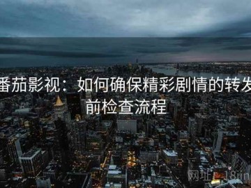 番茄影视：如何确保精彩剧情的转发前检查流程