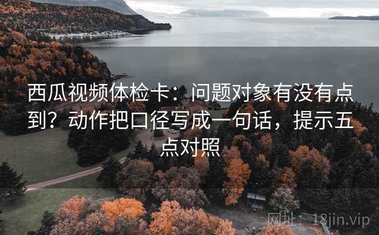 西瓜视频体检卡:问题对象有没有点到?动作把口径写成一句话,提示五点对照 西瓜视频体检卡:问题对象有没有点到?动作把口径写成一句话,提示五点对照