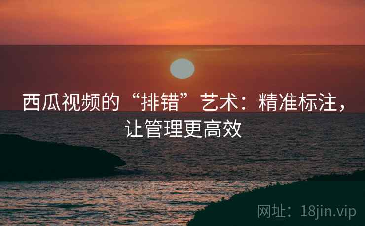 西瓜视频的“排错”艺术：精准标注，让管理更高效