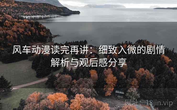 风车动漫读完再讲：细致入微的剧情解析与观后感分享